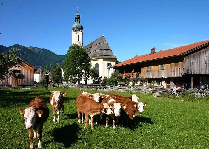 Gaestehaus Weissenbauer 렌그레스